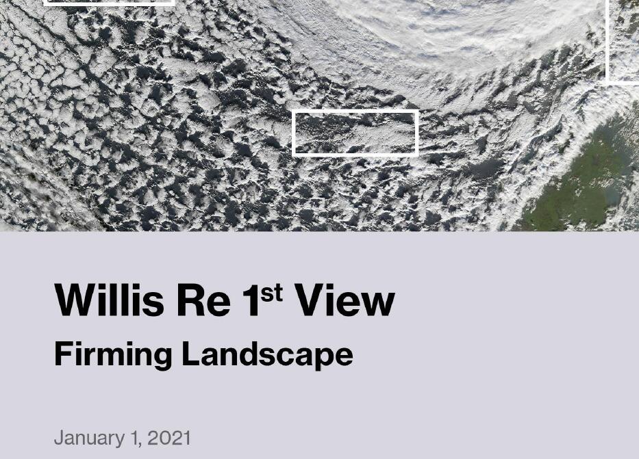 2021年再保险公司风险与前景分析报告