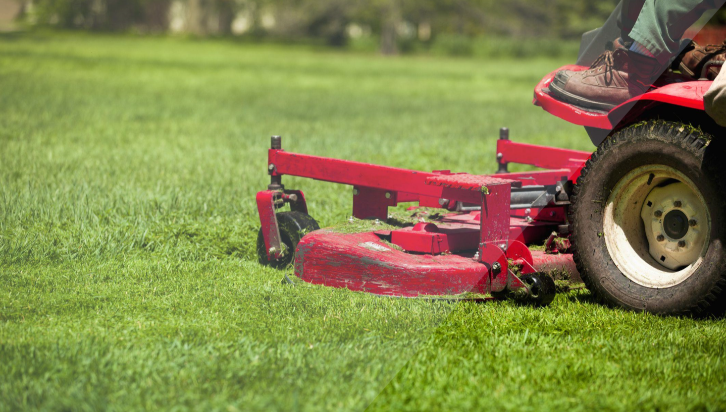 全球适应中心（GCA）：园林绿化和草坪养护服务市场观察及软件评估报告