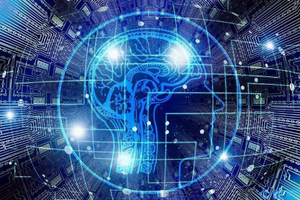 什么平台可以买数字藏品？我国数字藏品平台一览