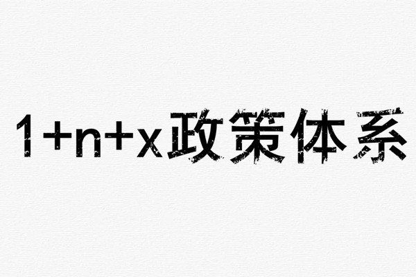 1+n+x政策体系什么意思？1+n+x是什么？