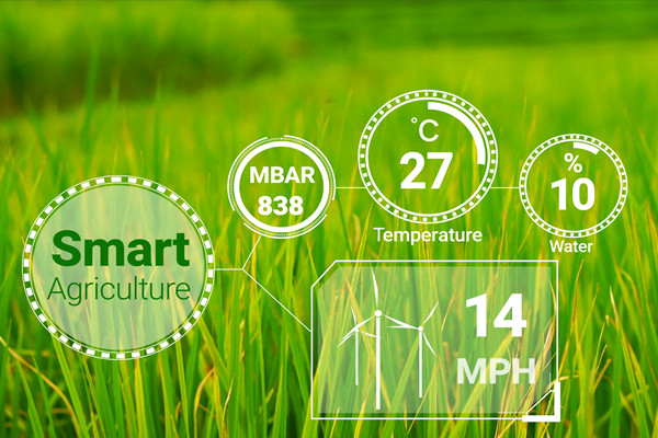 什么是数字农业？有什么优势？