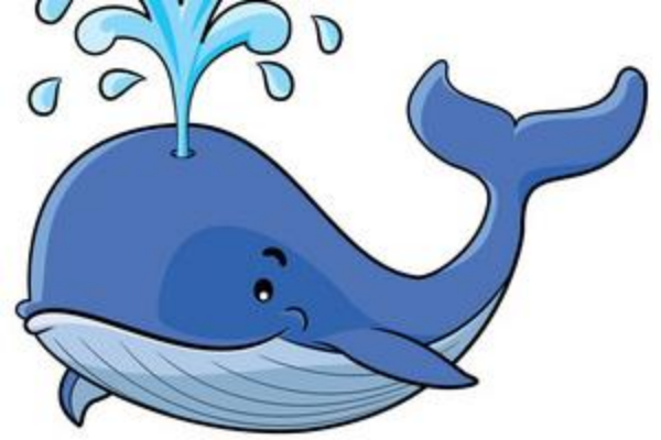 鲸准（鲸准研究院）