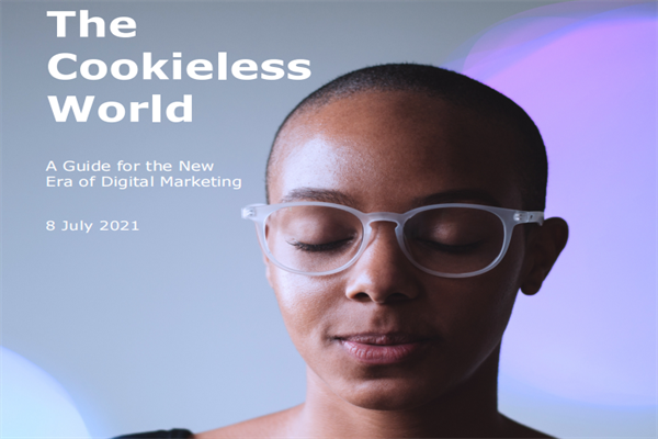 ​电通(Dentsu)：无cookie的未来-数字营销新时代指南.pdf(附下载)