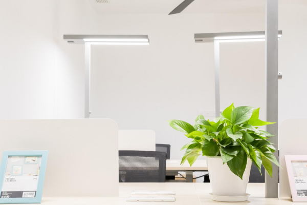 孵化器（企业）