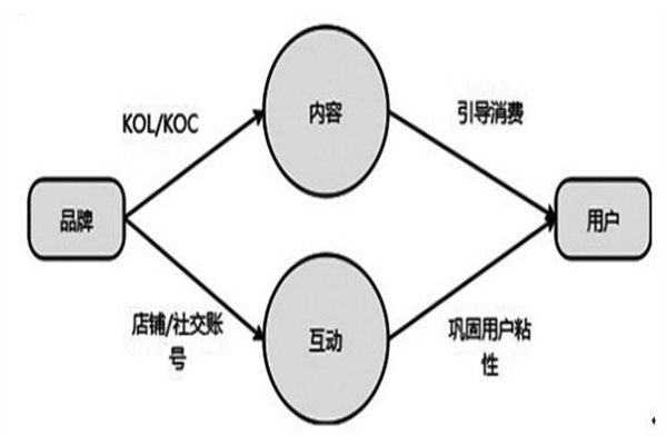 koc什么意思？和kol的区别有哪些？有什么不同?