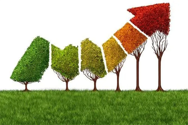 宠物保险有必要买吗？宠物保险优缺点介绍