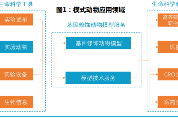 什么是模式动物？应用在哪些方面？