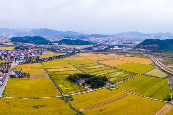 什么是土地托管？特点有哪些？农村土地托管的模式介绍