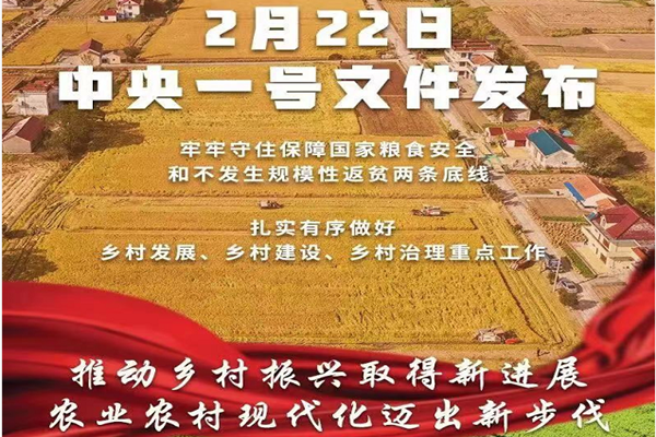2022年中央一号文件发布！主要内容及全文一览