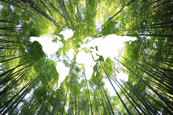 什么是可持续发展理论？概念内涵、基本原则、意义介绍