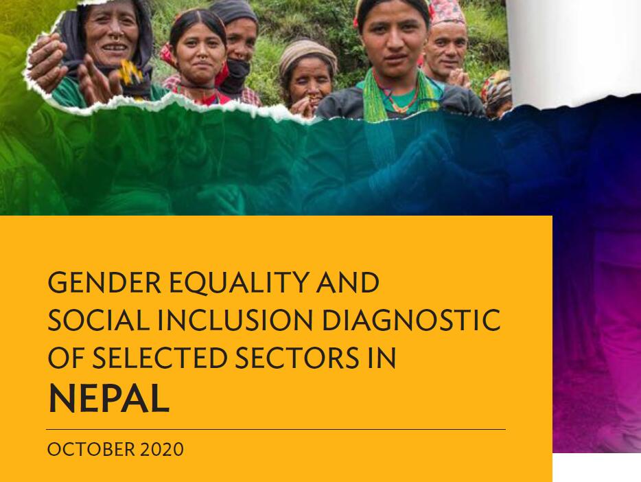 尼迫尔社会群体和发展指标数值及比例分析