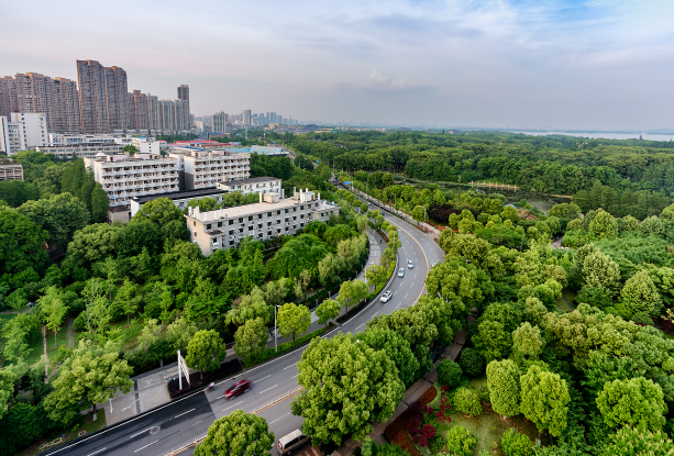 什么是绿色建材？有哪些？特征、评价体系与发展意义分析