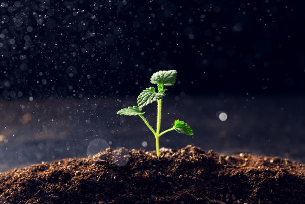 什么是生物育种技术？包括什么？优势、相关政策介绍