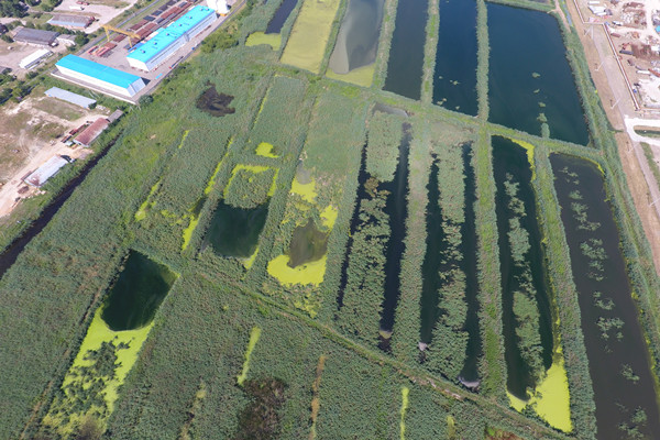关于推进污水资源化的指导意见汇总，再生水利用率分析