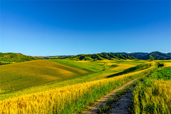 什么是农业绿色发展？2021全国农业绿色发展典型案例一览