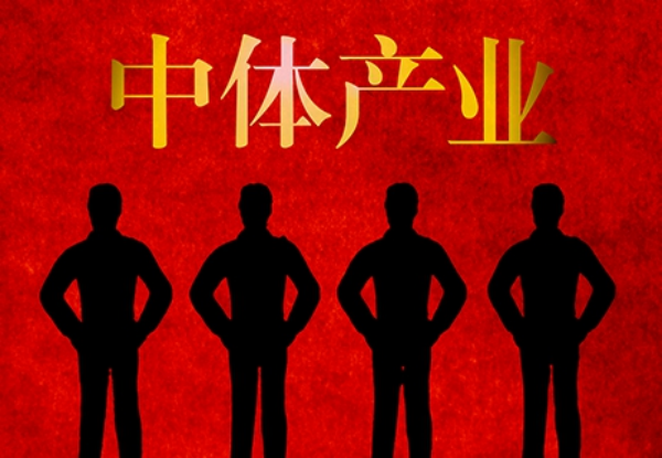 中体产业是做什么的？主要业务和发展前景介绍
