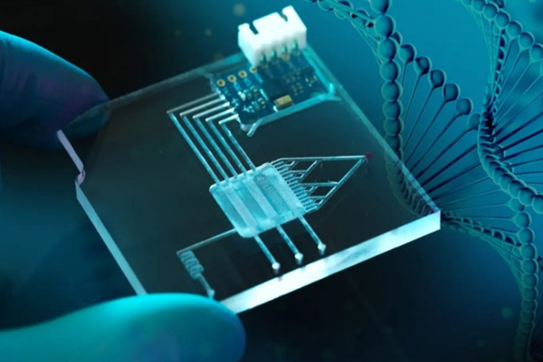 基因芯片概念股一览，相关龙头介绍