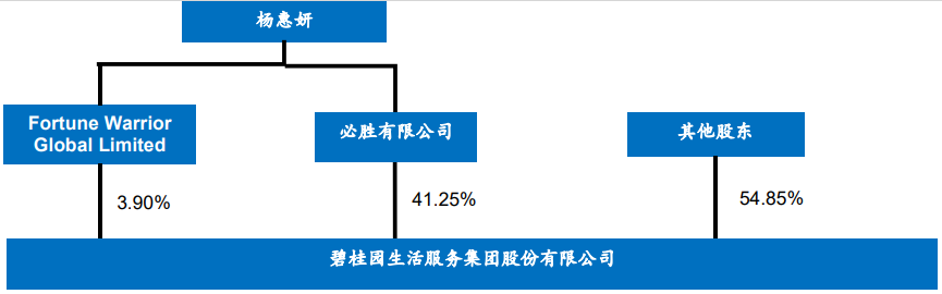 碧桂园公司最大股东是谁？占多少股？公司详细介绍