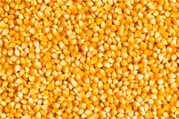 2021年中国饲料产量，历年饲料产量数据