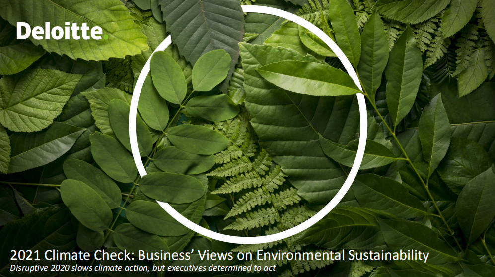 德勤：2021年全球气候变化与企业可持续发展报告