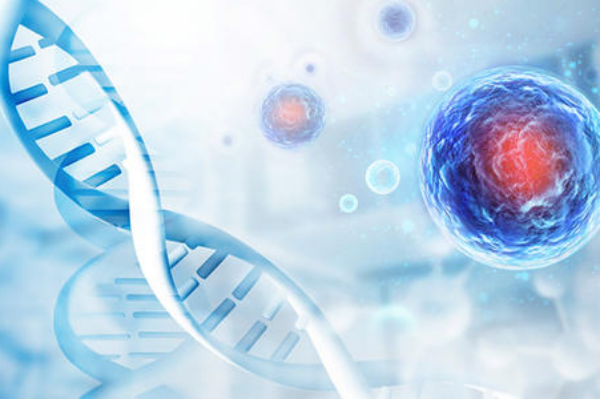 什么是细胞治疗？方法有哪些？相关政策和未来发展趋势一览