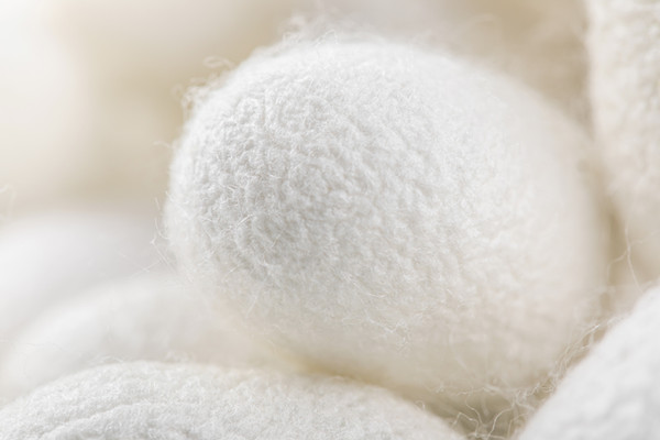 什么是信息茧房？信息茧房的概念是谁提出的？