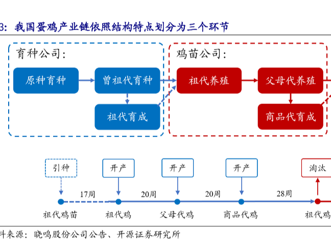 蛋鸡养殖产业链和引进祖代蛋种鸡占比分析