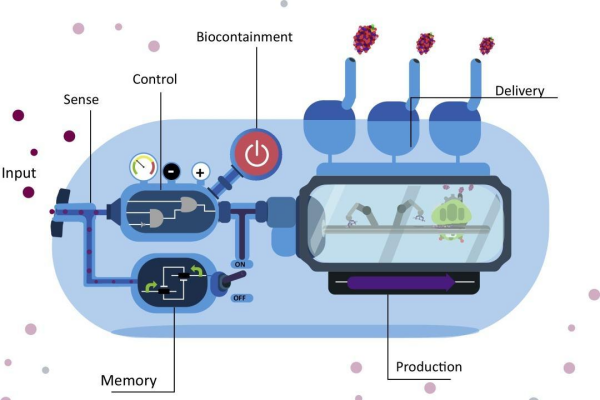 什么是合成生物学？核心内容有哪些？