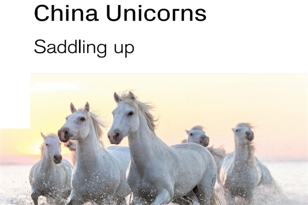 瑞信银行(Credit Suisse)：2021中国独角兽投资策略分析报告.pdf(附下载)