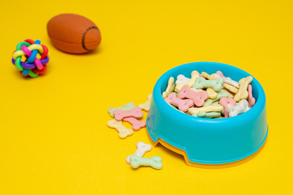 宠物智能硬件贵吗？相关产品案例介绍