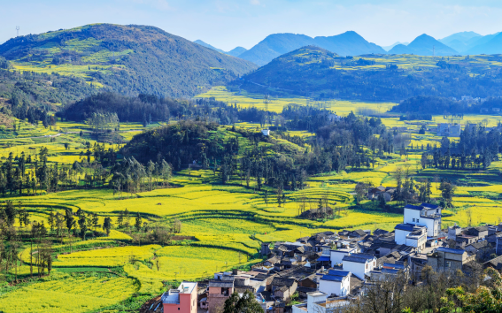什么叫数智乡村？与数字乡村区别在哪？发展历程一览