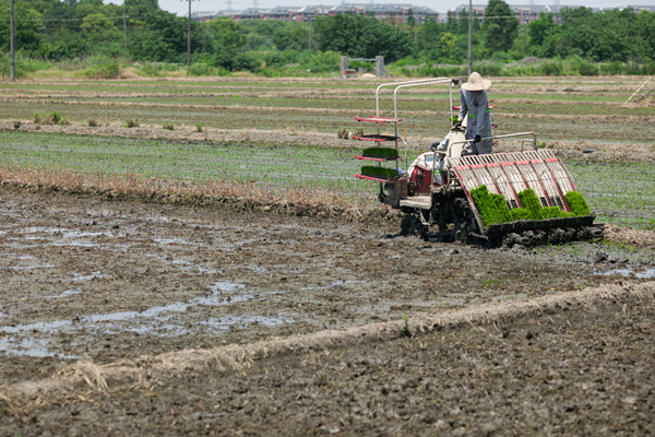什么是现代农业？现代农业的特点及产业类型介绍