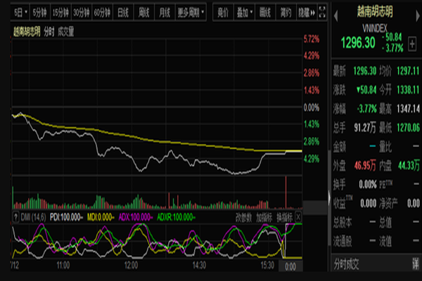 越南最牛股市崩了 金融股暴跌10%！为什么跌？