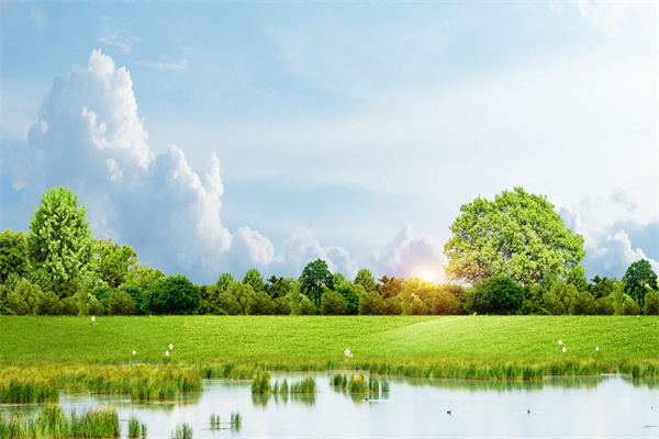 什么是绿色消费？内涵是？影响因素分析