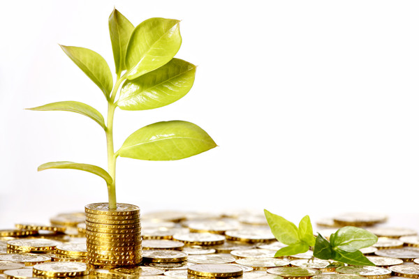 绿色商业指的是什么？特征有哪些？