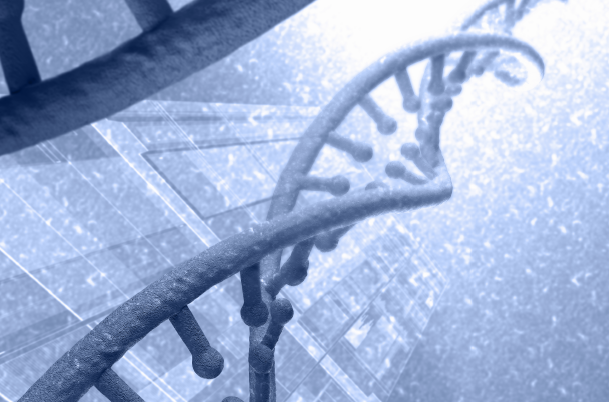 什么是基因编辑？技术有哪些？有什么特点？