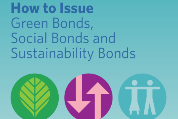 气候债券倡议：越南政府计划2030实现可再生能源生产份额升至10%