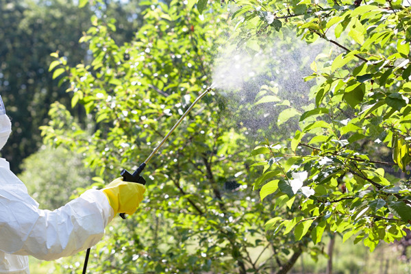 什么是新型农药？有哪些种类型？