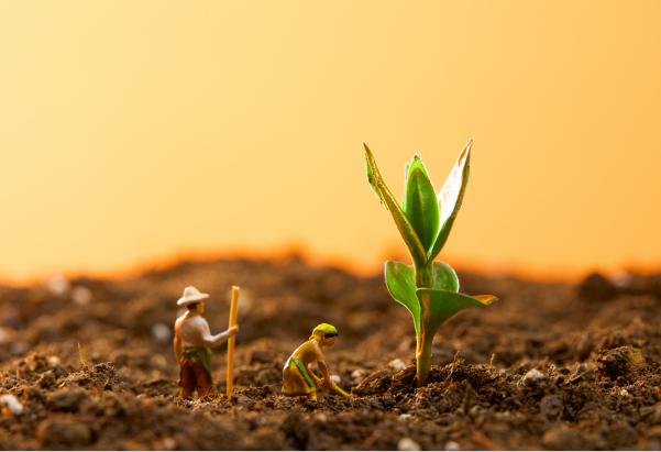 农村土地流转是什么意思？有哪些方式？发展历程、相关政策介绍