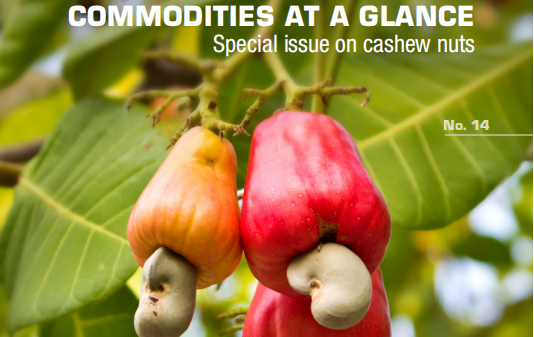 联合国贸发会议：2021年全球腰果市场评估报告