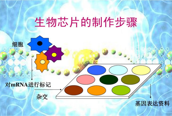 什么是生物芯片？产业链和相关公司介绍