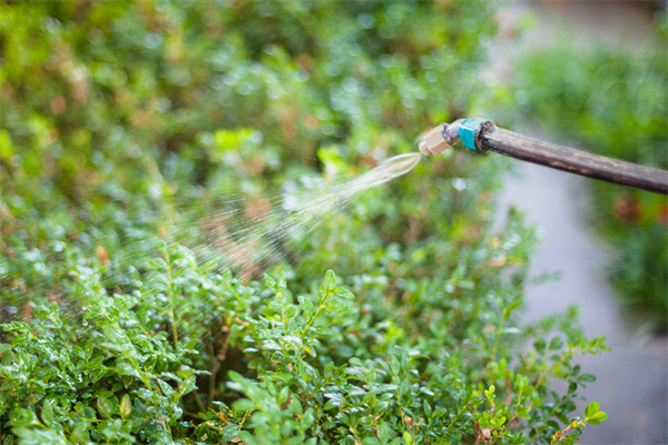 什么是水肥一体化技术？优点有哪些？