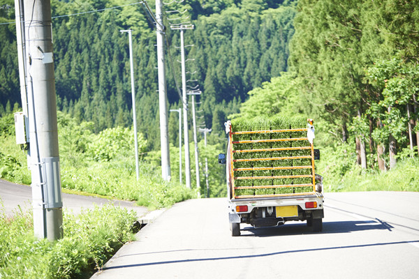 什么是邮快合作？浅析邮快合作优势及存在的问题