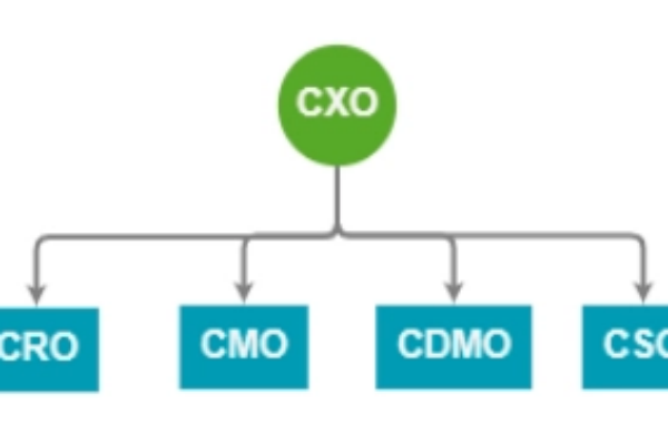CXO（医药外包）