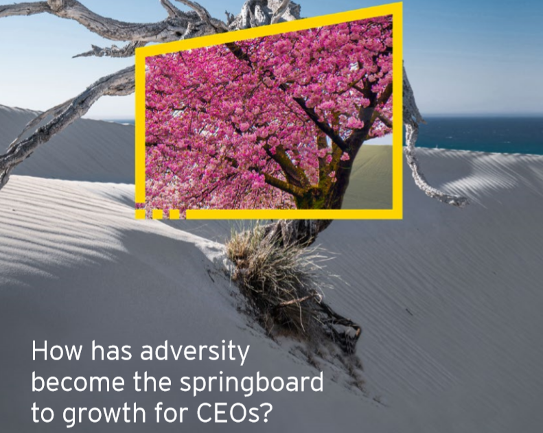 安永(EY)：2021年全球首席执行官研究报告