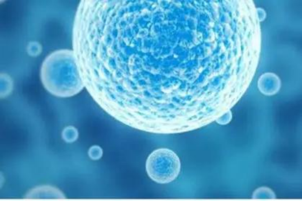 益生菌的作用与功效是什么？应用领域有哪些？