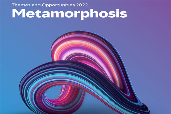 美世咨询(Mercer)：2022年投资展望报告(pdf版)