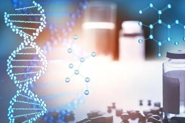 CRO（合同研究组织）