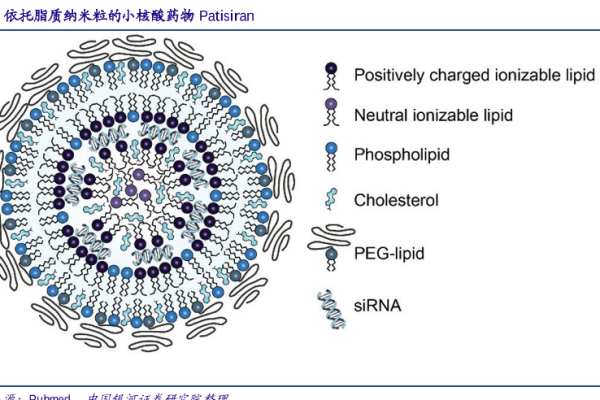 什么是小核酸药物？优势有哪些？已上市的小核酸药物汇总