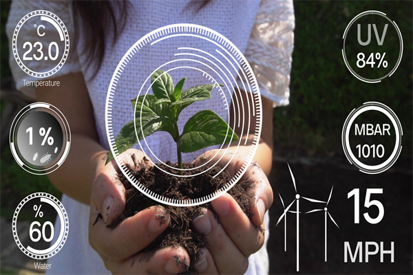 数字农业是什么意思？试点内容包括？如何申报？